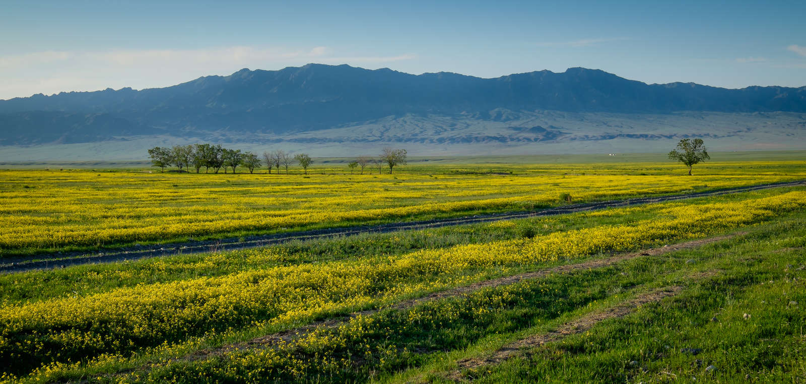 «The Golden Ring» — A Circular Tour of the National Parks of the Almaty Region
